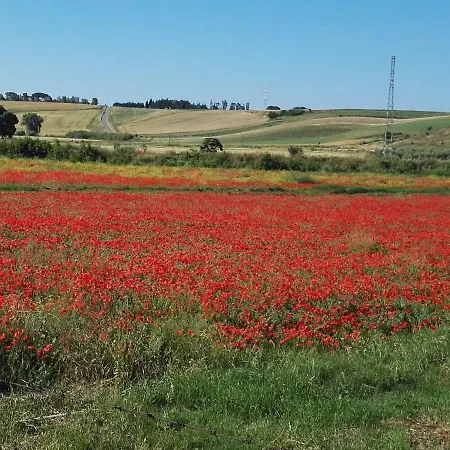 Frühstückspension Casale Farnesiana Tarquinia