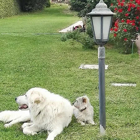 Casale Farnesiana Frühstückspension 3*